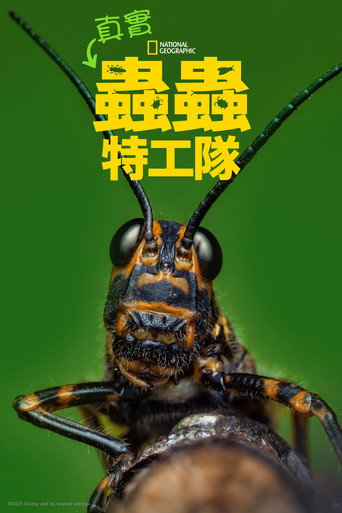 虫虫历险记海报