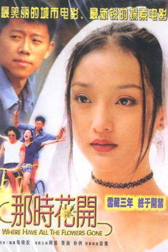 那时花开海报