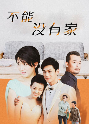 不能没有家海报