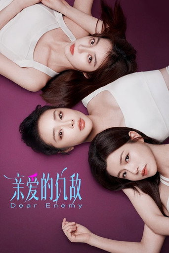 亲爱的仇敌海报