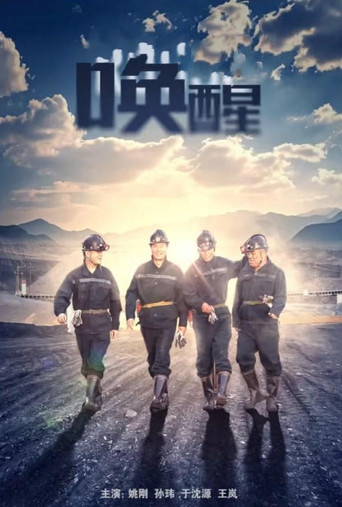 唤醒海报
