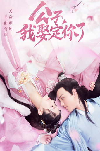公子，我娶定你了海报