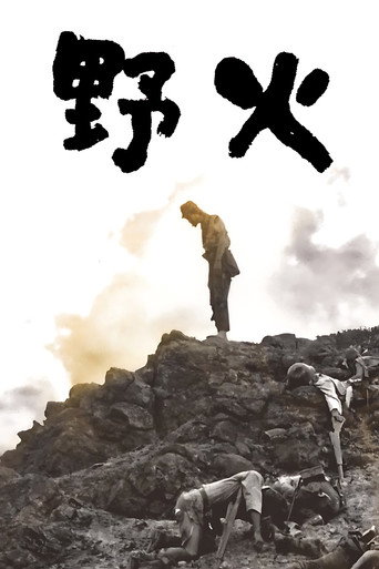 野火海报