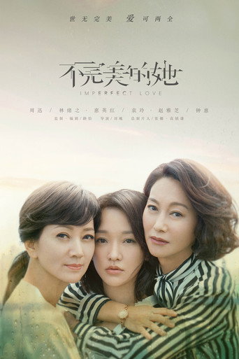 不完美的她海报