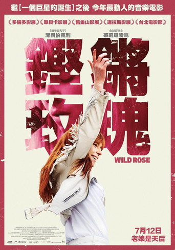 野玫瑰海报