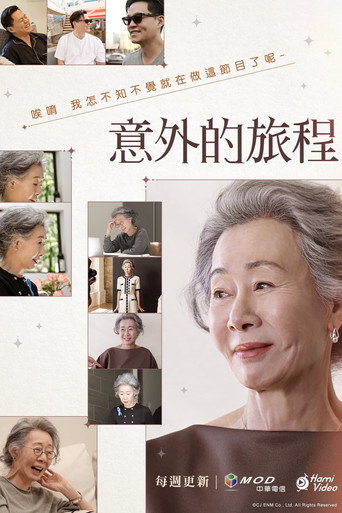 意外的旅程海报