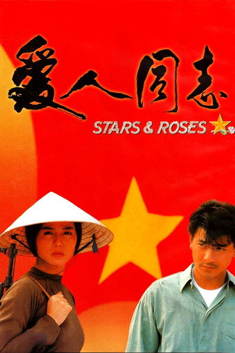 爱人同志海报