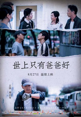 世上只有爸爸好海报