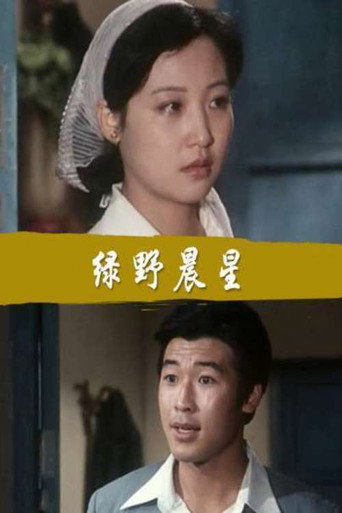 绿野晨星海报