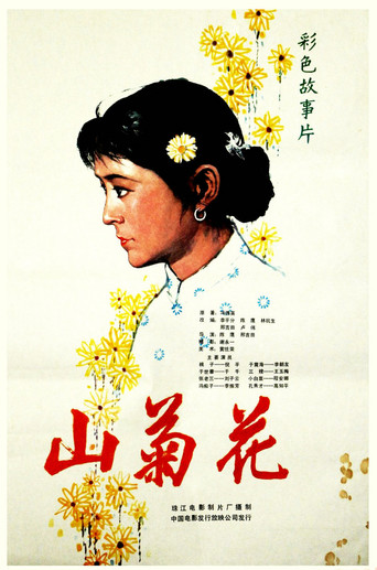 山菊花海报