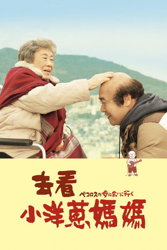 去见小洋葱的母亲海报