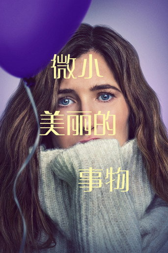 最美丽的小事海报