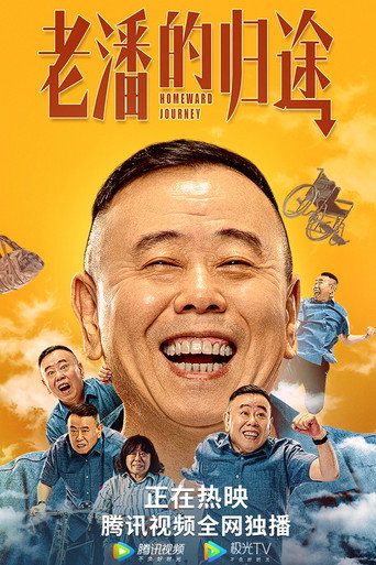 老潘的归途海报
