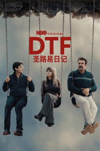 DTF圣路易日记海报