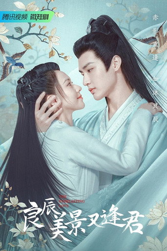 良辰美景又逢君海报