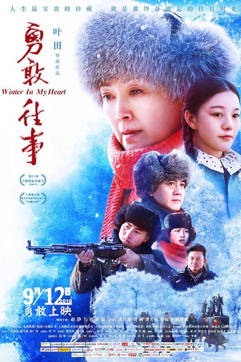 勇敢往事海报
