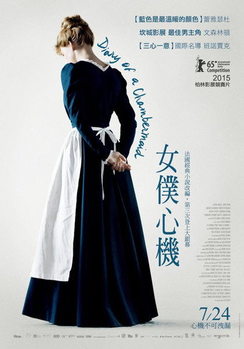 女仆日记海报