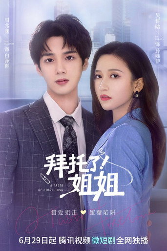 拜托了！姐姐 第 1 季海报