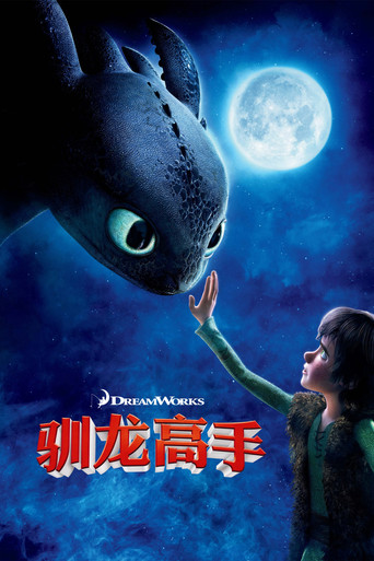 驯龙高手海报
