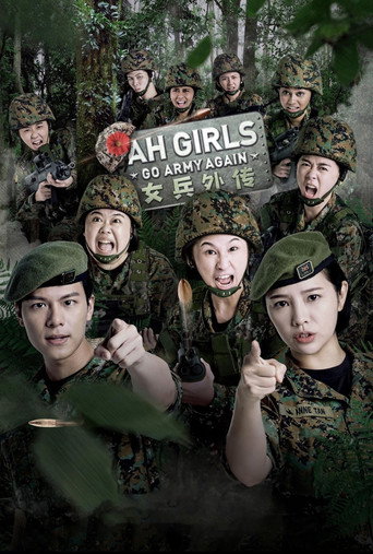 女兵外传2海报