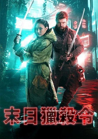 最后的刺客海报