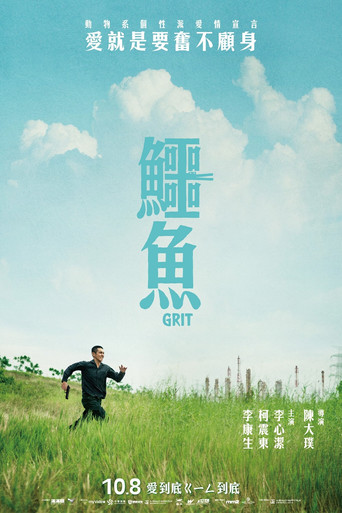 鳄鱼海报