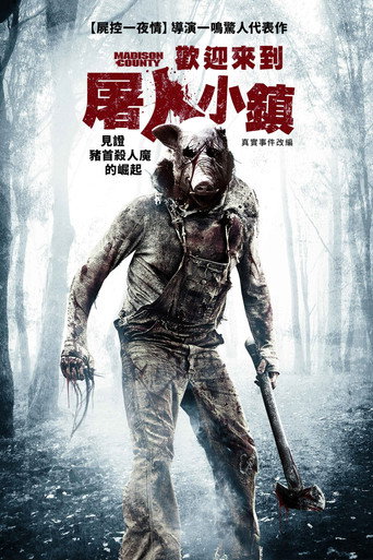 麦迪逊小镇海报