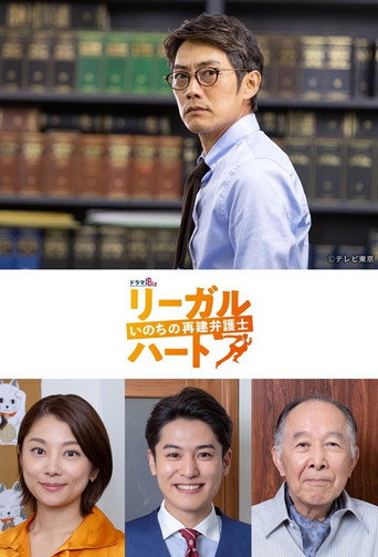 法律之心：重建生命的律师海报