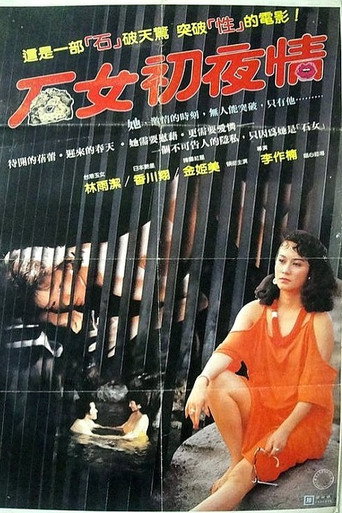 石女初夜情海报