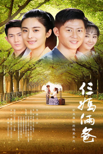 我的仨妈俩爸海报