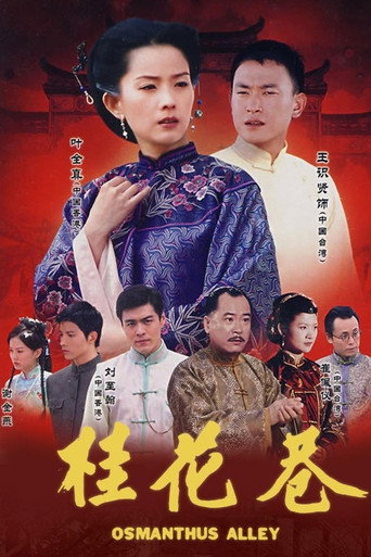 桂花巷海报
