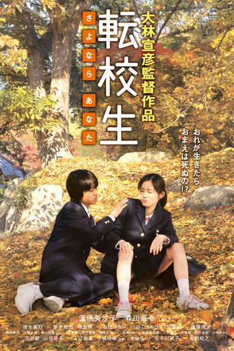 转校生：再见亲爱的海报
