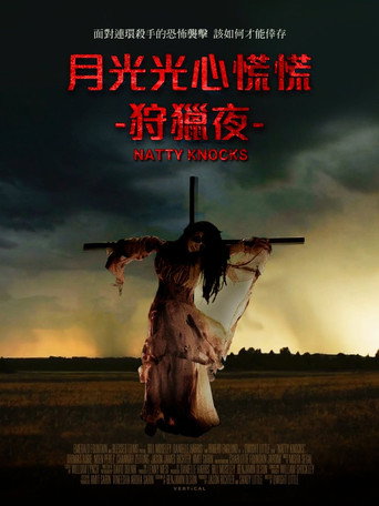 纳蒂来敲门海报
