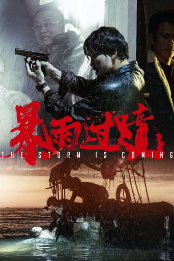 暴雨过境海报