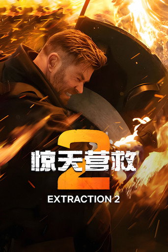 惊天营救2海报
