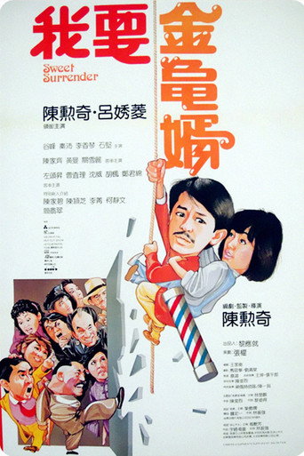 我要金龟婿海报