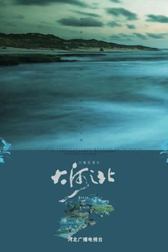 大河之北海报