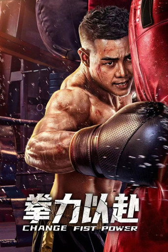 拳力以赴海报