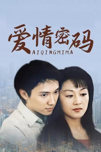 爱情密码海报