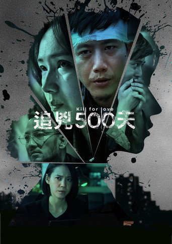 追凶500天海报