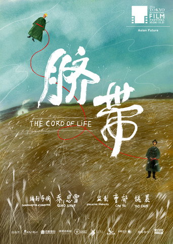 脐带海报