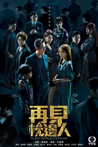 再见枕边人海报