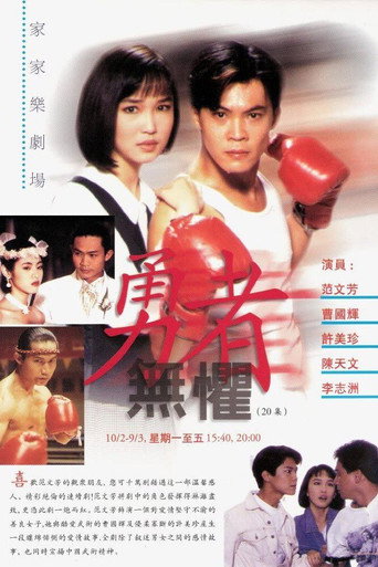 勇者无惧海报
