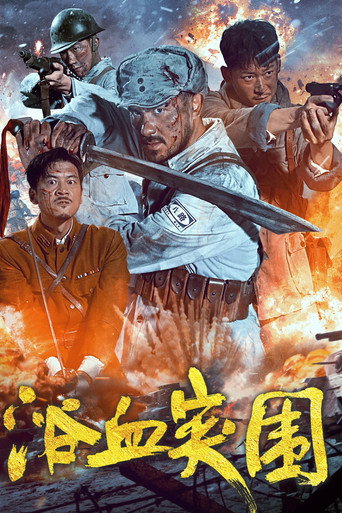 浴血突围海报