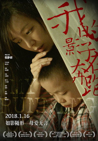 我的影子在奔跑海报