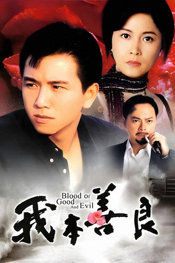 我本善良海报