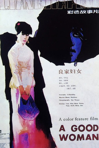 良家妇女海报
