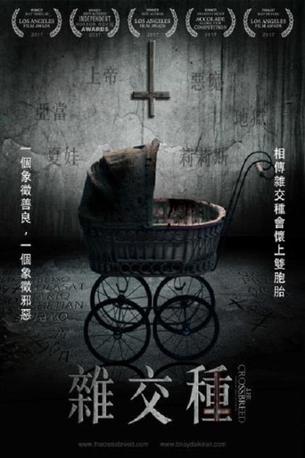 杂交种海报