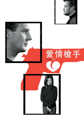爱情枪手海报