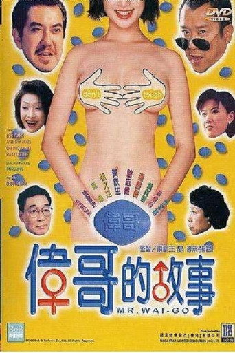 伟哥的故事海报